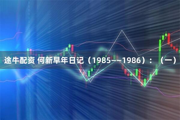 途牛配资 何新早年日记（1985——1986）：（一）