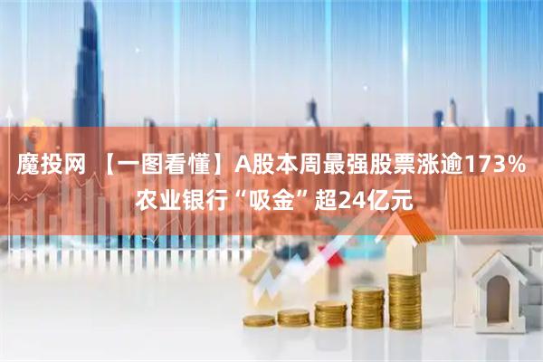 魔投网 【一图看懂】A股本周最强股票涨逾173% 农业银行“吸金”超24亿元