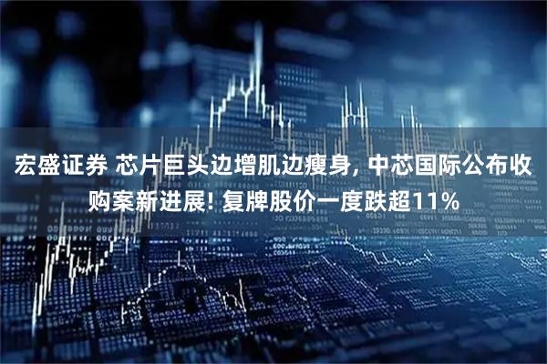 宏盛证券 芯片巨头边增肌边瘦身, 中芯国际公布收购案新进展! 复牌股价一度跌超11%