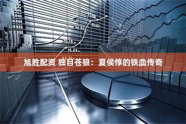 旭胜配资 独目苍狼：夏侯惇的铁血传奇