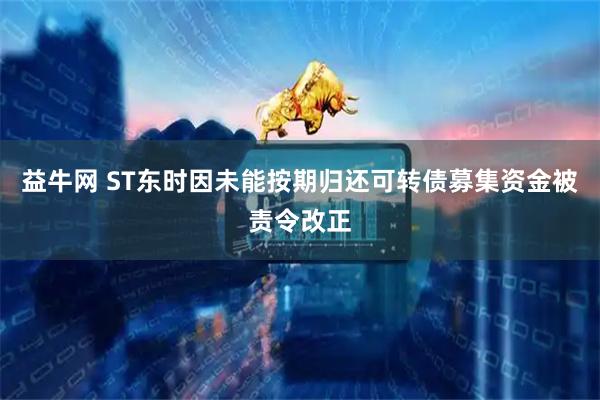 益牛网 ST东时因未能按期归还可转债募集资金被责令改正