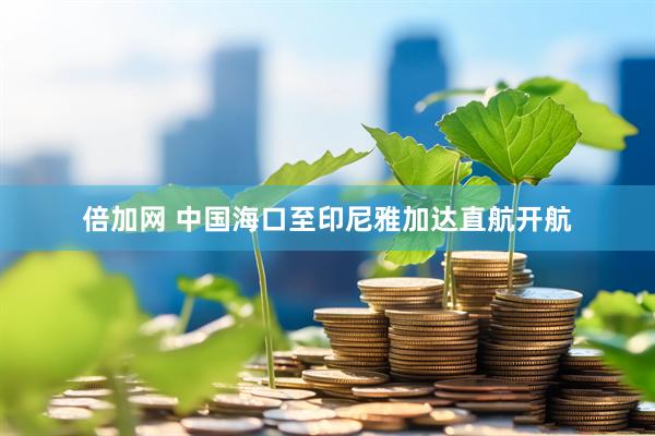 倍加网 中国海口至印尼雅加达直航开航
