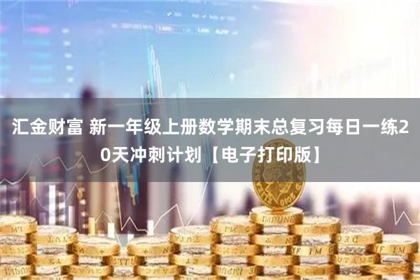 汇金财富 新一年级上册数学期末总复习每日一练20天冲刺计划【电子打印版】