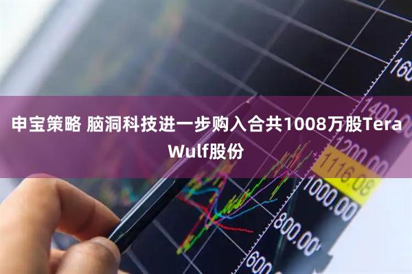 申宝策略 脑洞科技进一步购入合共1008万股TeraWulf股份