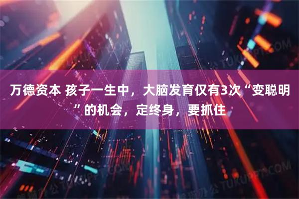 万德资本 孩子一生中,大脑发育仅有3次“变聪明”的机会,定终身,要抓住